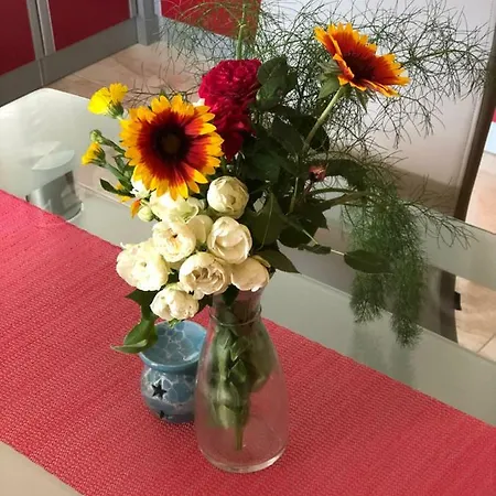 Bau Bab Apartment Kruševo